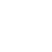 Diseños propios