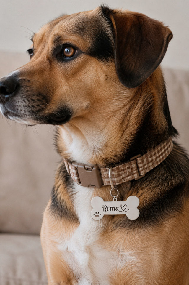 Placa identificativa para perro 6 cms*3 cms